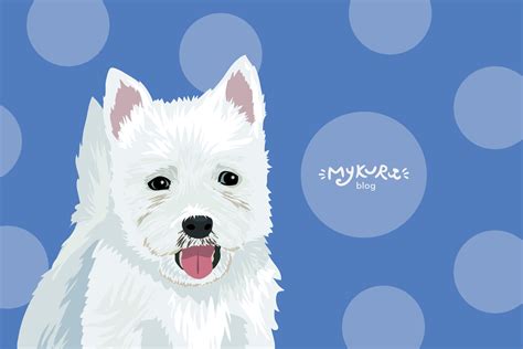 The Ultimate Westie Grooming Guide: Happy & Healthy Terriers