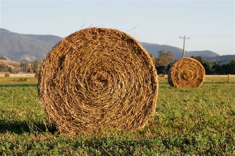 Polk County Hay List – Polk County