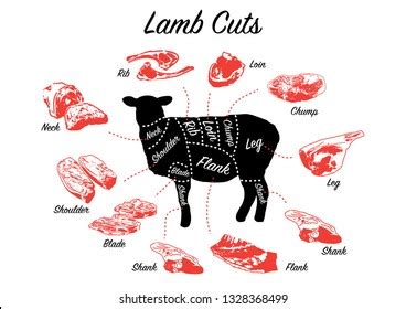 Meat Cuts Poster Vintage Butcher Shop: เวกเตอร์สต็อก (ปลอดค่าลิขสิทธิ์ ...