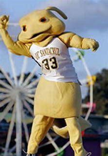 Top 10 Weirdest College Mascots