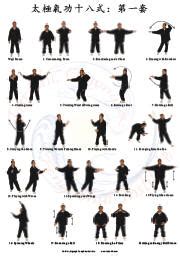 Tai Chi Qigong Shibashi Home Study Course – Set 1 | Tai Chi, Qigong ...