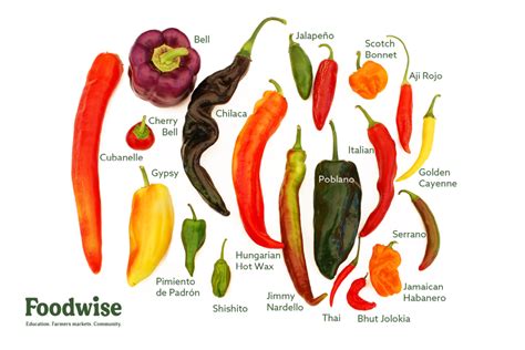 Types Of Hot Peppers