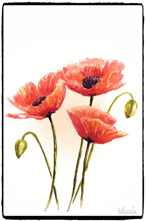 Watercolor Poppies | Watercolor poppies, Painting, Art