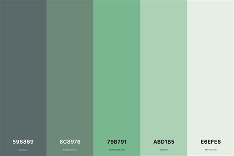 35+ Best Green Color Palettes with Names and Hex Codes (2024)