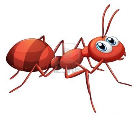 Cartoon Ant - ClipArt Best