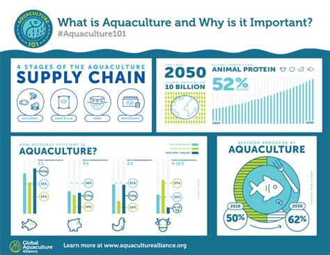 What is Aquaculture, and Why Do We Need It?