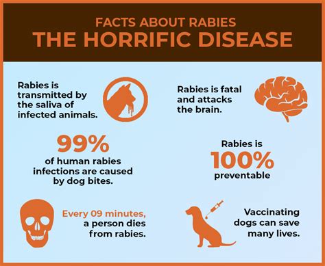 Rabies Virus In Humans Symptoms