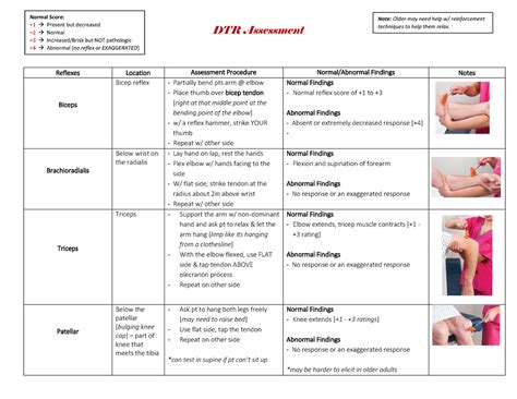 DTR Assessment - deep tendon reflexes - DTR Assessment Reflexes ...