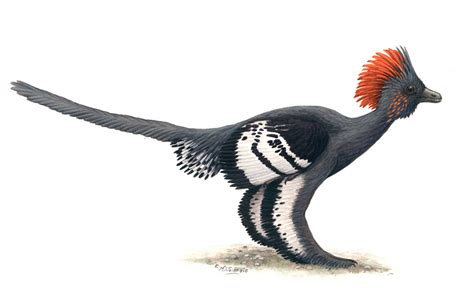 The First Discovery of Feathered Dinosaurs - Yale University Press