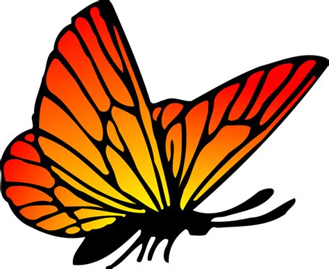 Red Orange Butterfly vector clipart image - Free stock photo - Public ...