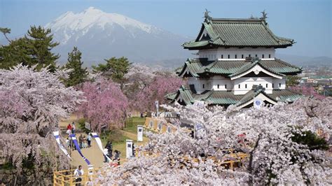 Hirosaki, in the northern Honshū prefecture of Aomori, is home to one ...