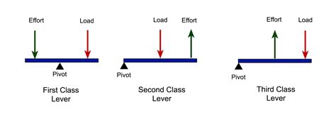 First Second Third Class Lever Examples