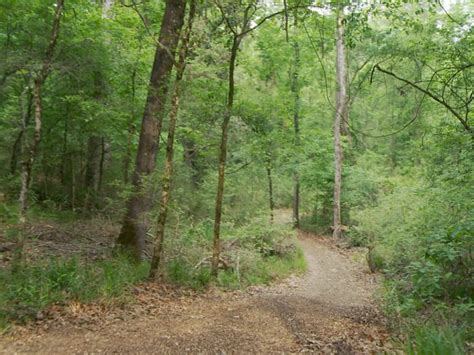 Chicot State Park for paddle and hiking adventure | The Heart of Louisiana