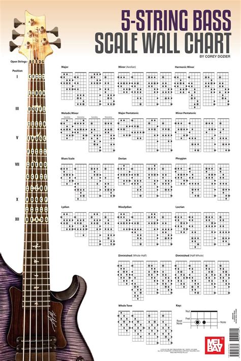 Bass Guitar Chord Progressions Chart