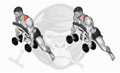 The 10 Best Rhomboid Exercises (Updated 2024) - Jacked Gorilla