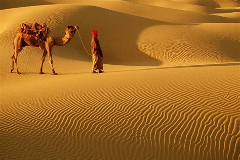 Rajasthan Camel Safari Tour | Rajasthan Tour Package