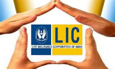 LIC may need 5 yrs more beyond 2027 to comply with public float norms ...