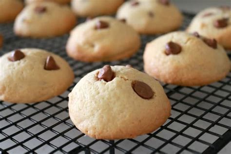 Chocolate Chip Biscuits - Thermobliss