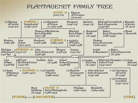 Plantagenet Family Tree | Royal family trees, Family tree, Genealogy ...