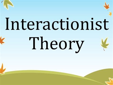 Interactionist Theory