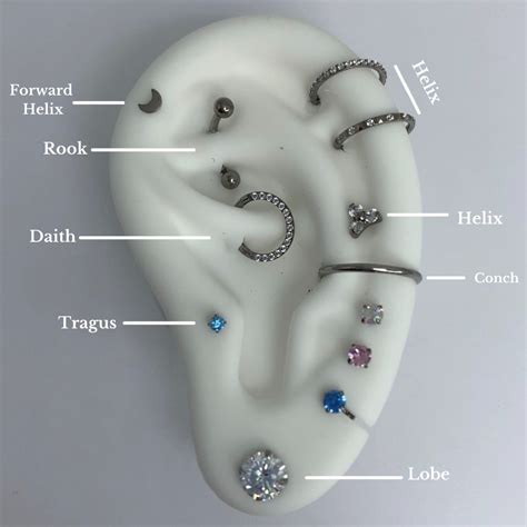 Ear Piercing Chart | Pierced Universe