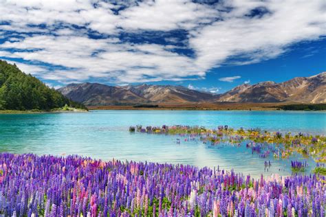 The 7 Most Stunning Lakes in New Zealand | Backpackingmatt.com