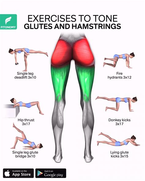 EXERCISES TO TONE YOUR GLUTES AND HAMSTRINGS | Glutes workout ...