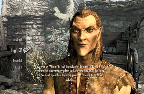 Best Skyrim Race for Mage Build - Fantasy Role-Playing Games