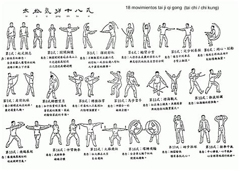 Taiji Qigong Shibashi - samim