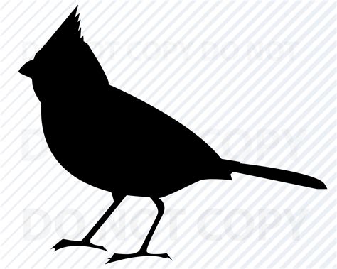 Cardinal Svg Black And White