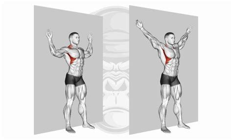 The 10 Best Rhomboid Exercises (Updated 2024) - Jacked Gorilla