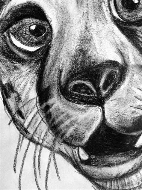 One Point Perspective - Charcoal Distorted Animals.