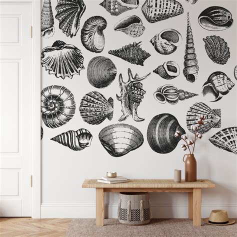 Black and White Seashell Wallpaper - Coastal Home Wall Mural | Happywall