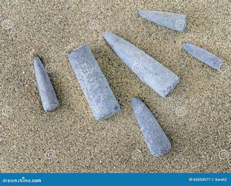 Belemnites. Fossils on Sand. Found on Jurassic Coast, Dorset, En Stock ...