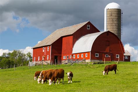 How To Find A Local, Organic Farm Near You - 5thBranch