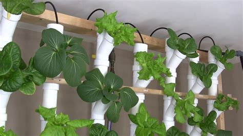 Basement Hydroponic Tower Garden Version 2.0 - Gardening Chronicle