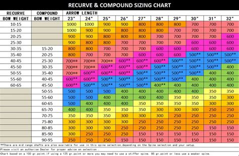 Spine Chart – Focal Point Archery