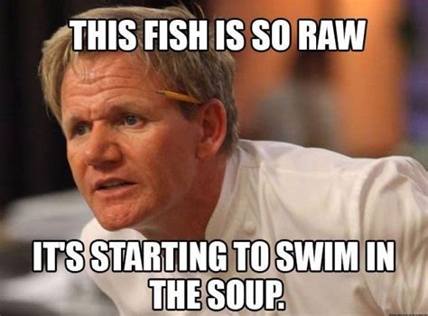 10 Gordon Ramsay Memes And Biting Insults | Gud Story