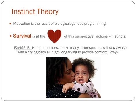 Instinct Psychology Examples