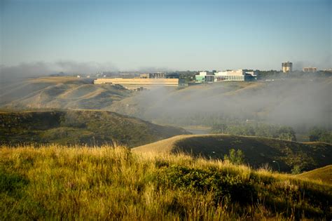 Grassland Ecosystem