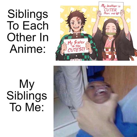 Sibling love? more like Sibling pain... : r/memes