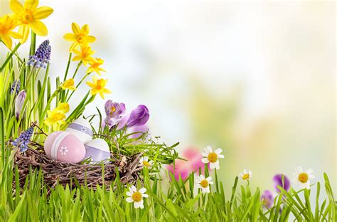 Easter Basket Wallpapers - Wallpaper Cave