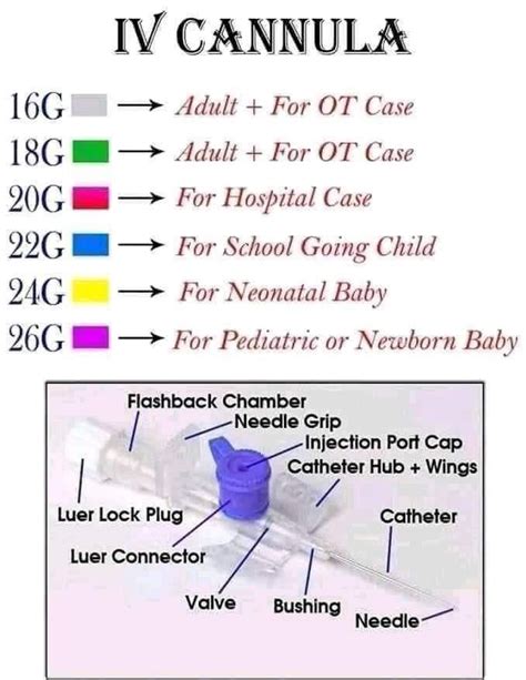 IV Cannula sizes - MEDizzy