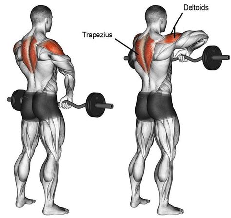 The Best Upright Row Alternative for Huge Shoulders and Massive Traps ...