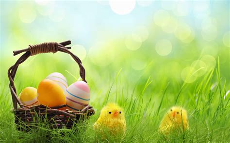 Chicks Easter Wallpapers - Wallpaper Cave