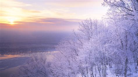 wallpaper-high-snow-trees-scenery-quality-beautiful-136300