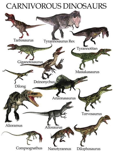 Types Of Carnivorous Dinosaurs