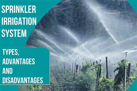 Sprinkler irrigation System: Types, advantages and disadvantages