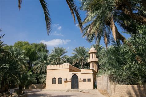 Al Ain Oasis | Abu Dhabi Culture