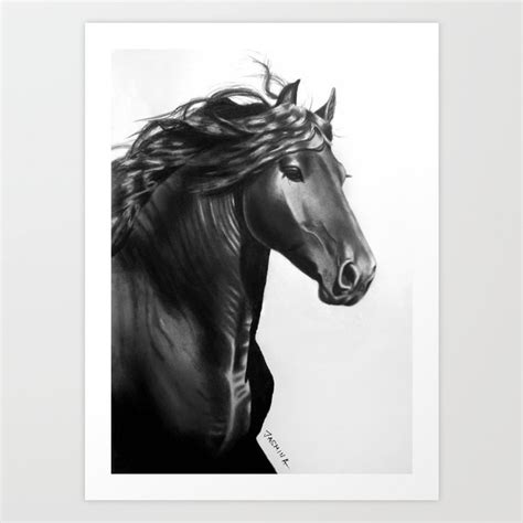 A Beautiful Friesian Horse - Pencil Drawing Art Print by JasminaSusak ...